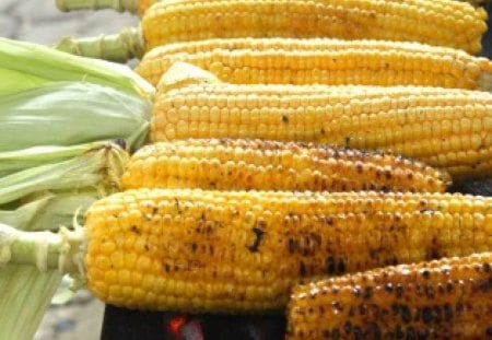 Grilled Corn  - grilled, corn, corn on the cob, vegetables, yum