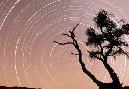 Star trails - nature, stars