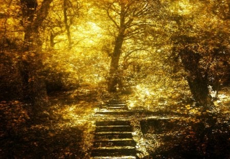  yellow stairs - stairs, autumn, yellow