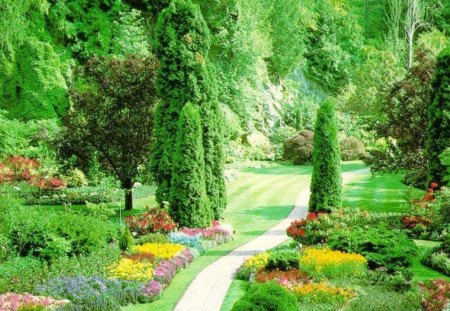 Garden - nature, gardens, forest