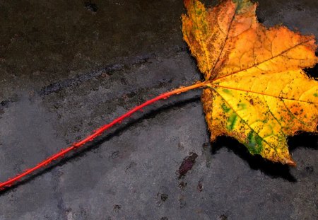 Autumn Leave - autumn leave, lonely, 3d, gold