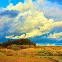 clouds over yellow field