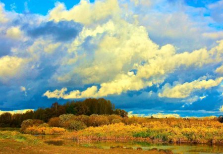 clouds over yellow field - over, clouds, field, yellow