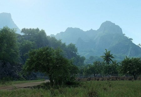 crysis - grass, trees, road, rocks