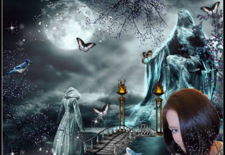 MOON FANTASY - moon, sky, stars, night, bridge, fantasy, females, butterflies