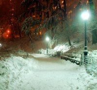 Snow in the park at night