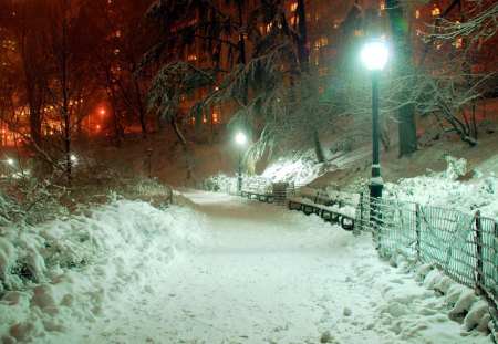 Snow in the park at night - white, night, park, snow