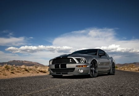 Mustang - gt500, musclecar, mustang, roush