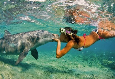 Dolphin and Girl - delphin, girl, swimming pool, water