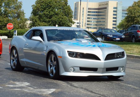 pontiac trans am - musclecar, trans am, pontiac, chevy