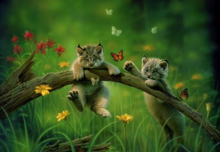 Play the game - amusement, cat, animals, lovely, play, beautiful, cats, green, splendor, butterflies