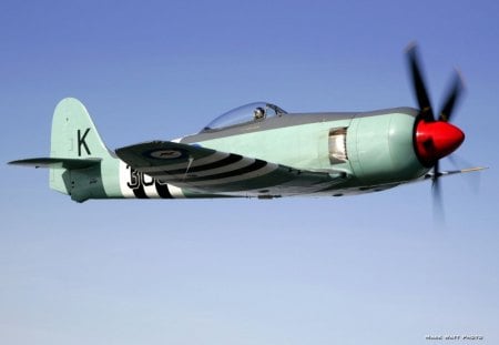 Hawker Sea Fury - navy, fury, hawker, fighter, sea