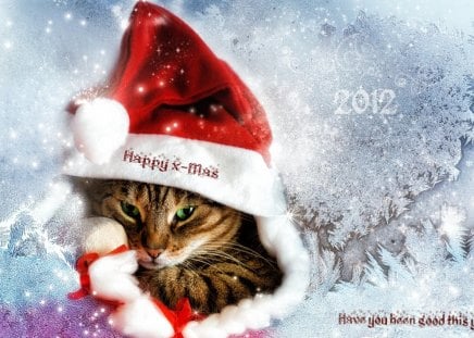 Have you been good this year ? - drezdany art, cat, merry christmas, snow, red clothes, have you been good this year