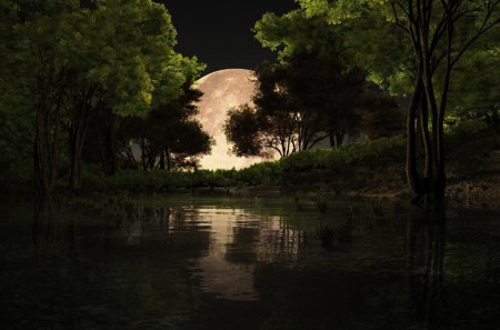 FULL MOON - moon, sky, trees, forest, reflection, night, water