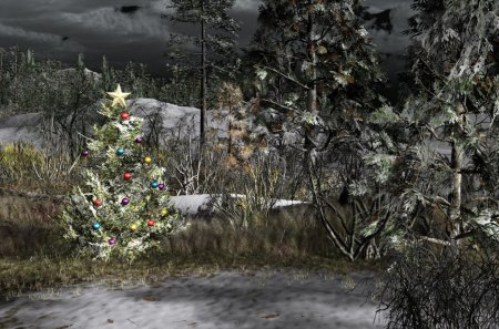 WINTER CHRISTMAS - christmas, trees, winter, snow, forest