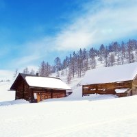 Winter Snow Scenery