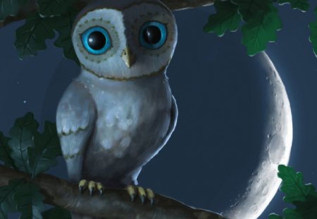 Owl