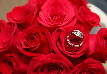 à¹‘â™¥à¹‘ Proposal à¹‘â™¥à¹‘ - proposal, flowers, bouquet, love, forever, fresh, weddind, roses, rings, passion, nature, declaration