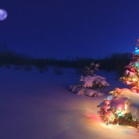 tree and full moon in the mountains