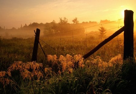 morning dew on fence - dew, fence, fog, fields, sunrise