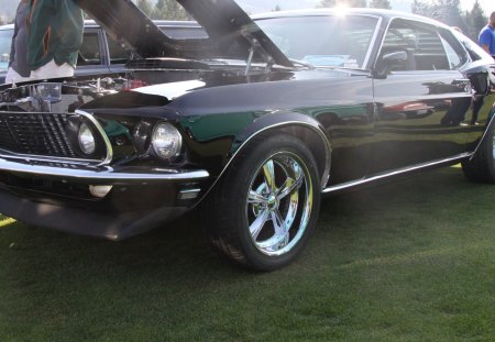 1969 Ford Mustang - black, Ford, tires, headlights, engine, photography