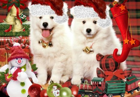 Christmas Puppies - xmas, christmas, dog, puppies