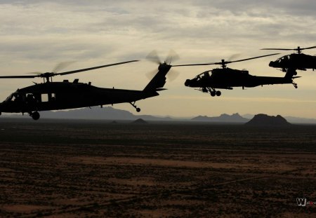 helicopters in the mountains - mountains, helicopters, gun, fields