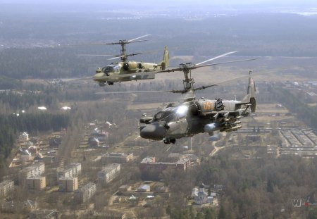 Ka-52 helicopter - 52, helicopter, ka, gun