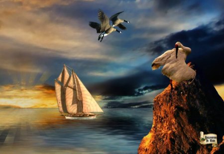 Golden Nature - oceans, geese, sailboats, sailing, sunset, birds