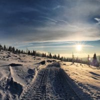 trail in the snow