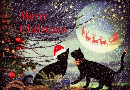 ♥     .*.*.*.Purrfect Merry Christmas.*.*.*.     ♥ - star, snowflakes, christmas eve, snow, night, stars, jingle bells, holy night, cats, merry christmas, sky, christmas gift, sleigh, moon, cat, santa, christmas tree, purrfect, animals