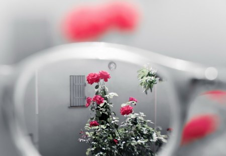 Glasses - snow, glasses, red, tree