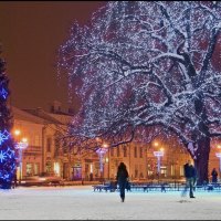 City Christmas Tree