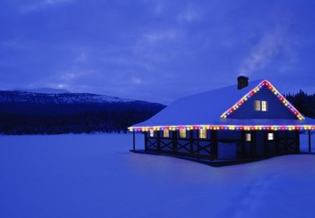 christmas at a lonely cabin - forest, lights, cabin, christmas