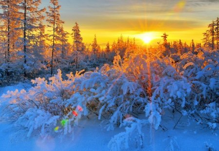 Winter - nice, cottage, trees, peaceful, shine, creek, calm, painting, pretty, reflection, calmness, cold, river, orange, golden, house, bridge, rays, sunlight, light, winter, smoke, wooden, lovely, serenity, glow, village, snow, beautiful