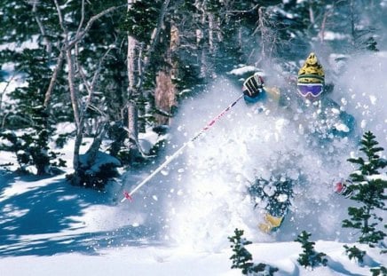 Winter man - ski, winter, mas, cold, snow, tree