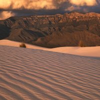 sand dunes in guadalupe np texas