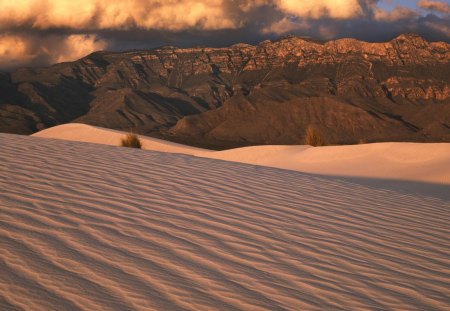 sand dunes in guadalupe np texas