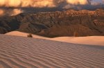 sand dunes in guadalupe np texas