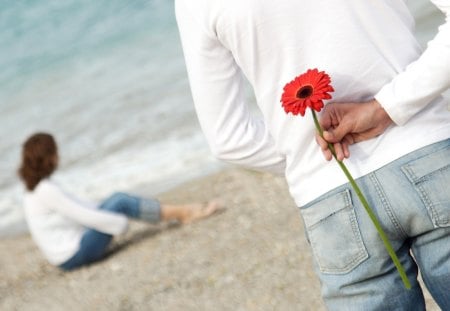 couple on the beach gives flowers - gives, beach, flowers, couple