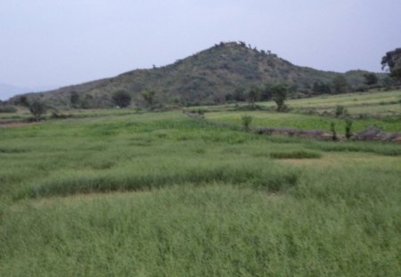 village - village, view, beautiful, green, my, field