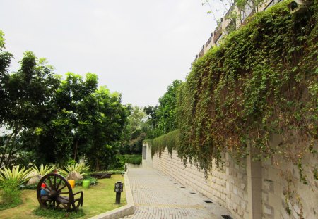 Hot spring hotel - relax, tour, garden, wooden chair, hot spring, hotel, flower, tree