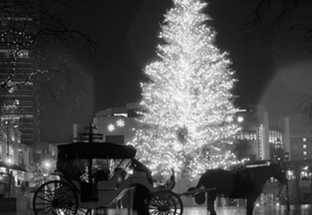 festive scenery of the city - carriage, winter, holiday, cityscape, horse christmas tree, illuminated