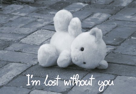 â™¥ - without, white, bear, lost, little