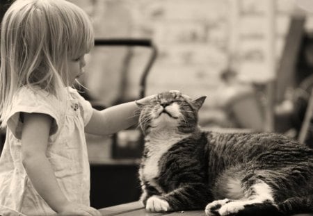 That's the spot...!!!! - girl, cat, good, spot, feel