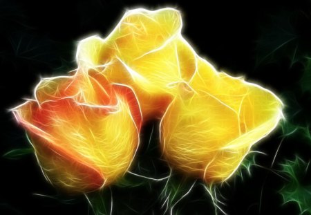 FRACTAL YELLOW ROSES - nature, fractal, yellow, roses, wallpaper, flowers