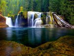 FOREST WATERFALLS