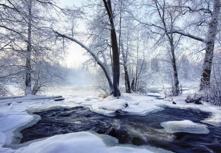 Freezing - river, freezing, cold, landscape, snow, forest