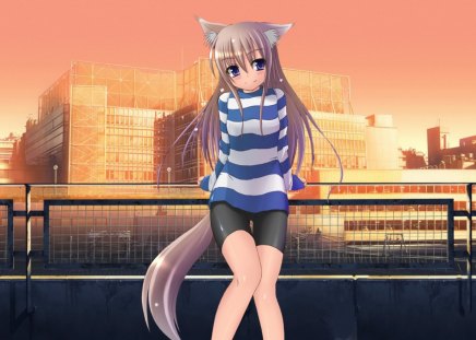 Foxy ;) - fox girl, city background, foxy, cant think of a fourth