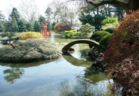 Brooklyn Botanical Garden - water, garden, botanical, bridge, japanese